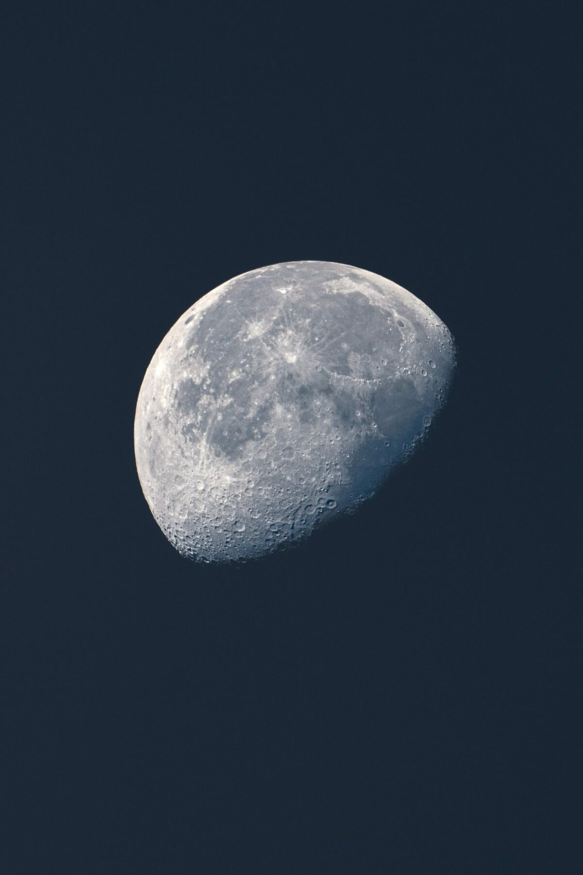 Moonlight magic – Bild 2